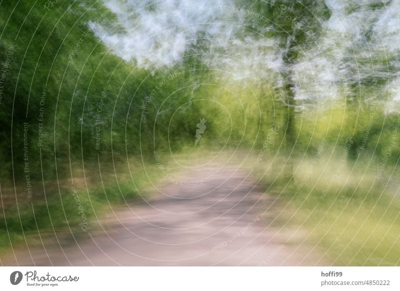 verschwommener Pfad durch eine Lichtung im Wald Weg Ungewisse Zukunft vibrierend geheimnisvoll unscharf Depression Angst angstzustand ungewiss Einsamkeit