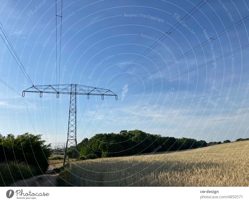 Ein Koenfeld Korn Feld Getreide Sommer Himmel Gerste Kornfeld Ähren Nutzpflanze Landwirtschaft Natur Ackerbau Weizen Pflanze Getreidefeld Umwelt ökologisch