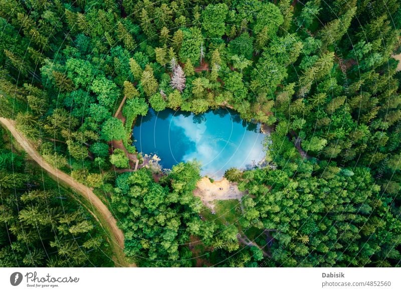 Luftaufnahme eines blau gefärbten Waldsees in Polen blauer See Antenne grün Teich farbenfroh Ansicht oben Top Wasser Herz wild Farbe Erholung Berge u. Gebirge