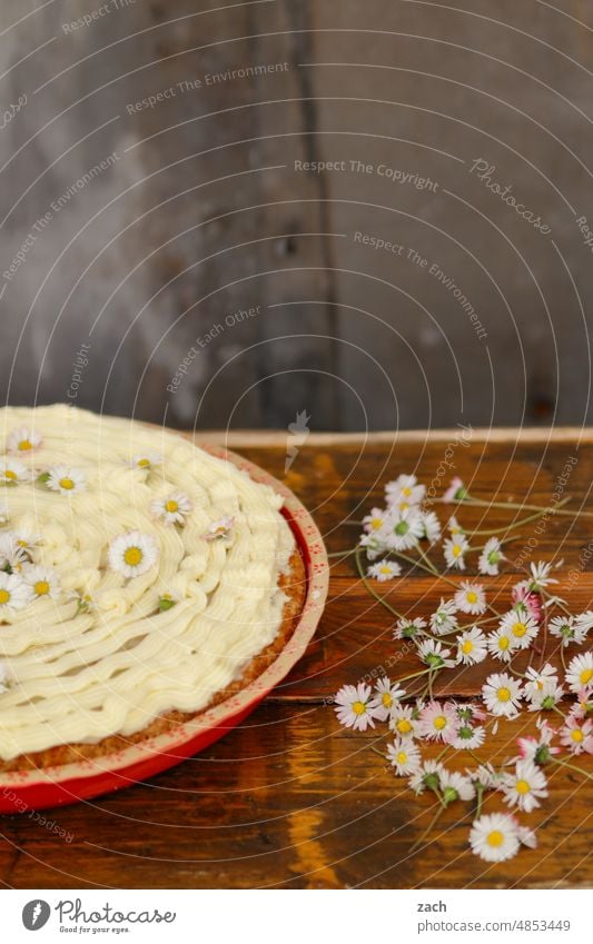 Geschmacksexplosionen Kuchen schlagsahne Backwaren Foodfotografie backen Lebensmittel Puderzucker süß lecker Rüblikuchen Blütenblatt Blume Teller Torte