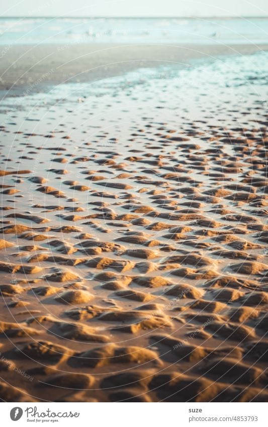 Watt wär, wenn datt Watt wär? Strand Küste Wasser Landschaft Sand Meer Ferien & Urlaub & Reisen Sommer Ebbe Gezeiten nass ebbe und flut Horizont Schlick Ostsee