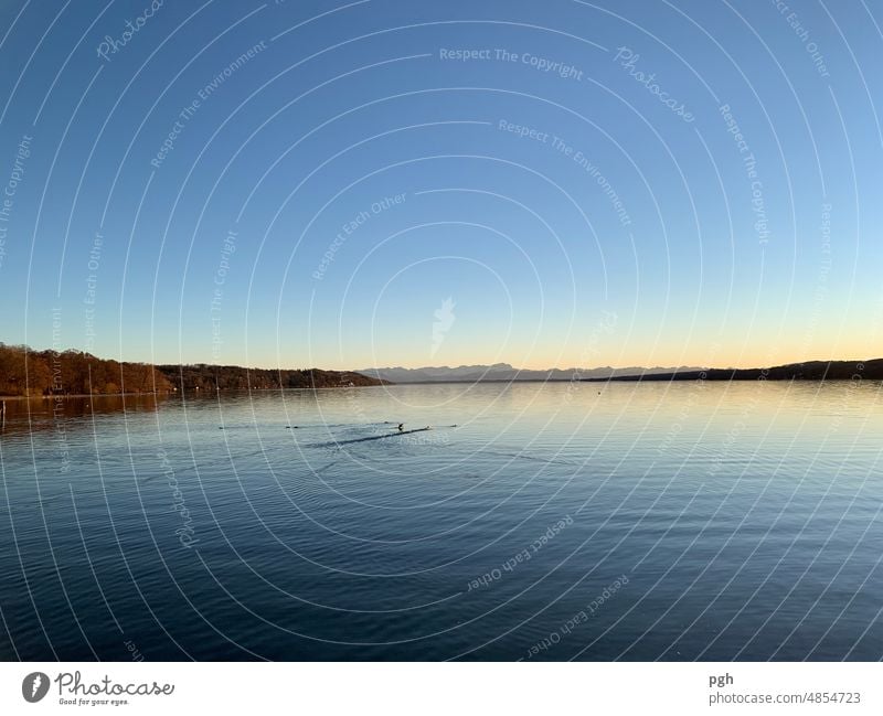 Abendstunde am Starnberger See Ausflug Lifestyle Freude Glück harmonisch Erholung ruhig Meditation Sport Schwimmen & Baden Umwelt Natur Landschaft Wasser