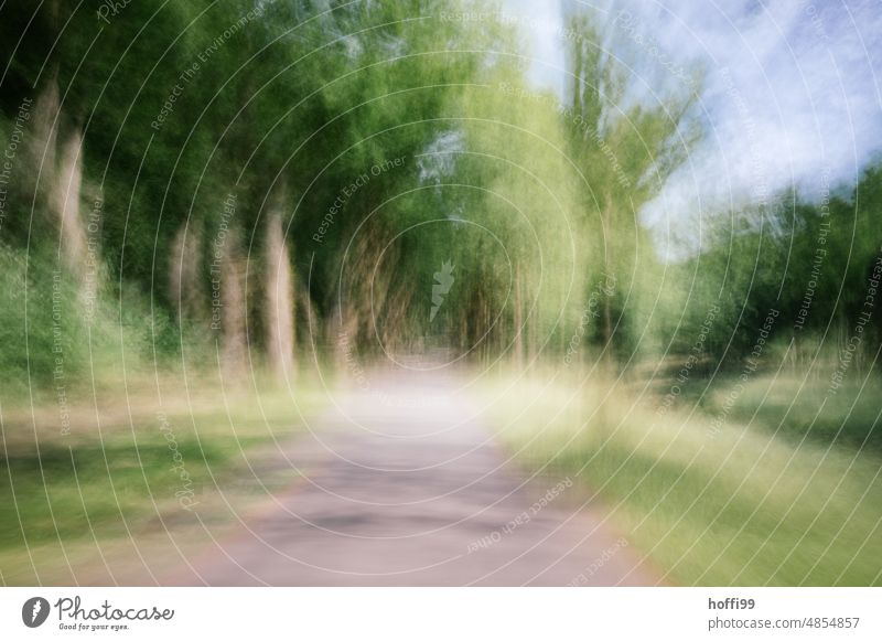 verschwommener Pfad durch eine Lichtung im Wald Weg Ungewisse Zukunft vibrierend geheimnisvoll unscharf Depression Einsamkeit ungewiss angstzustand Angst