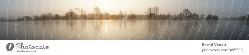 Neckarama Frühling Baum Sträucher Flussufer Baden-Württemberg schön blau braun gelb schwarz Gefühle Stimmung ruhig Panorama (Bildformat) Farbfoto Außenaufnahme