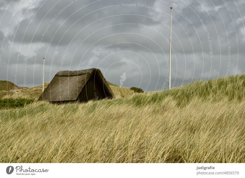 Haus in den Dünen Dach Reetdach Reetdachhaus Dünengras Küste Dänemark Jütland Natur Landschaft Nordsee Tourismus Erholung Ferien & Urlaub & Reisen Himmel Wolken