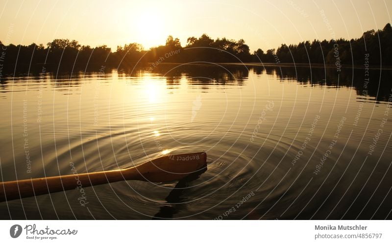 Bootfahren im Sonnenuntergang Abend Himmel Abenddämmerung Landschaft Dämmerung Natur Licht Außenaufnahme Menschenleer Farbfoto Sonnenlicht Horizont