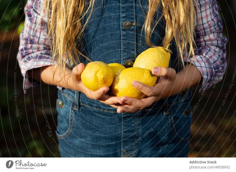 Fröhlicher kleiner Bauer mit Zitronen Mädchen Landwirt Obstgarten Baum Landschaft Ernte Sommer Kind reif Frucht Ackerbau heiter ländlich rustikal kariertes Hemd