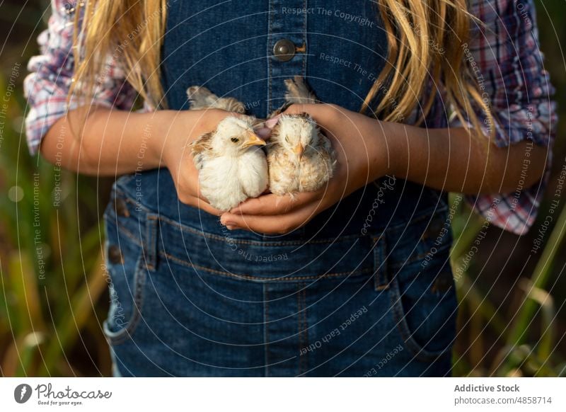 Unbekanntes Mädchen mit Küken auf dem Bauernhof Landwirt Landschaft Lächeln Sommer Tier positiv Porträt tagsüber Kind lässig führen heiter Glück ländlich