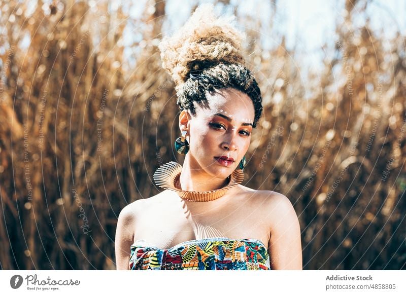 Ethnische Frau mit traditionellen afrikanischen Accessoires in der Natur Stil Tradition Feld Vorschein authentisch Make-up Porträt lokal Gras trocknen