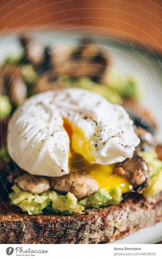 Gesundes Frühstück aus pochierten Eiern und Pilzen Zuprosten pochiertes Ei Avocado Sauerteigbrot Vegetarier Gesundheit Lebensmittel Eigelb Belegtes Brot