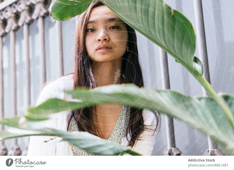 Asiatische Frau in der Nähe einer grünen Topfpflanze Pflanze Blatt Vorschein Straße Flora feminin eingetopft charmant Stil Großstadt asiatisch ethnisch Dame