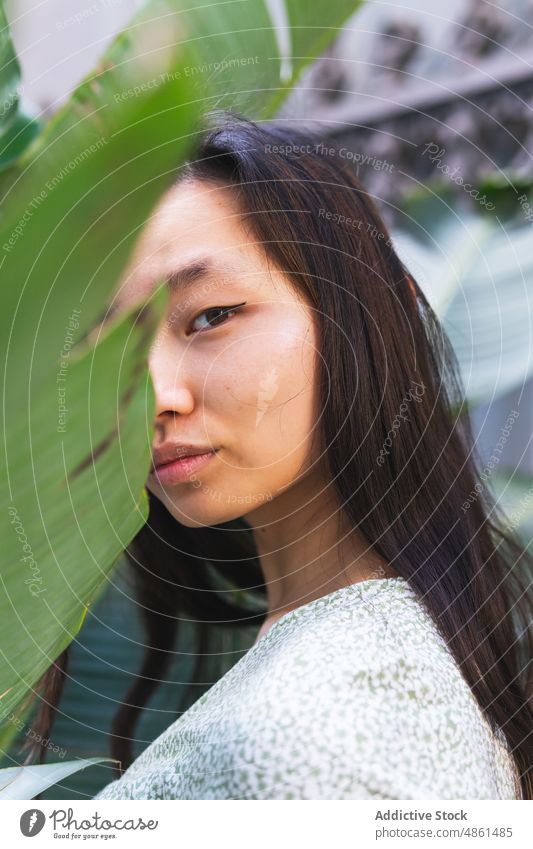 Asiatische Frau in der Nähe einer grünen Topfpflanze Pflanze Blatt Vorschein Straße Flora feminin eingetopft charmant Stil Großstadt asiatisch ethnisch Dame