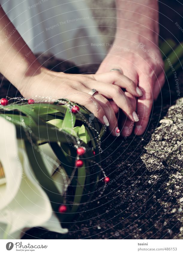 berührt Paar Partner Hand Finger Glück Lebensfreude Ehepaar Hochzeit Kreis Ehering Blumenstrauß hochzeitsstrauß berühren genießen Entscheidung Höhepunkt