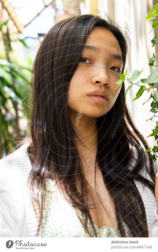 Asiatische Frau in der Nähe eines blühenden Baumes in der Stadt Ast Blütezeit Blume Sommer Straße Pflanze Porträt Großstadt feminin Stil Flora charmant