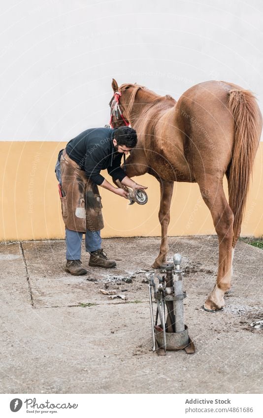 Hufschmied befestigt Hufeisen am Huf eines Pferdes Mann nageln Pferdestall Zange Arbeit Hof männlich anstrengen Grunge chaps Ranch Werkzeug Wehen Säugetier