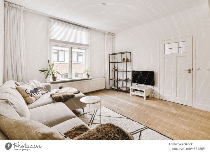 Gemütliches Wohnzimmer mit gemütlicher Couch und Regal in moderner Wohnung Innenbereich Sofa Appartement Komfort Stil Möbel wohnbedingt heimwärts geräumig