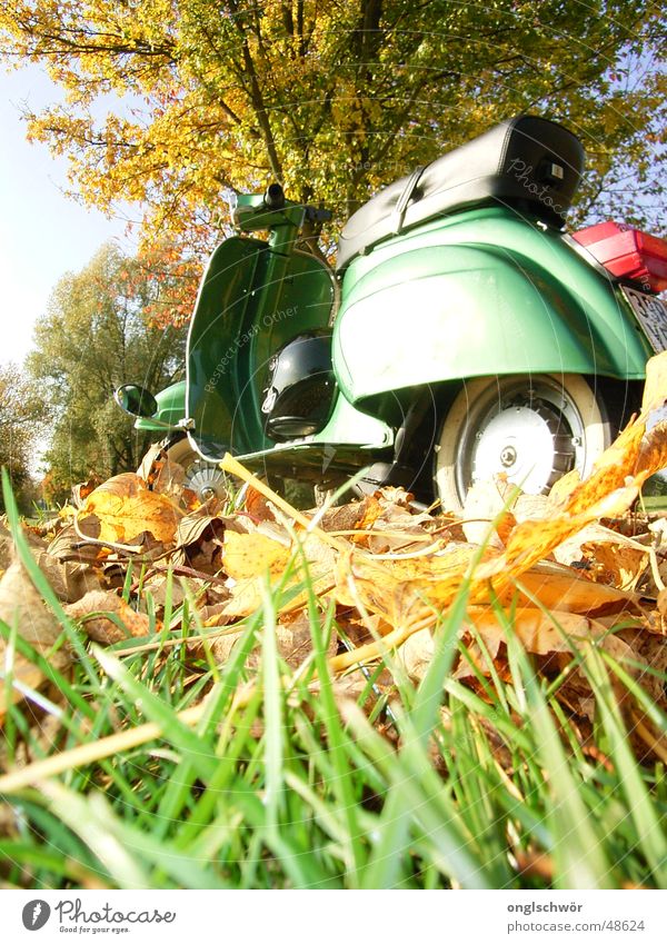 Paul alias Vespa V50 N Special 1976 Kleinmotorrad Herbst Park grün Blatt Baum Oldtimer Italien Arbeit & Erwerbstätigkeit Romantik Igel Geschwindigkeit langsam