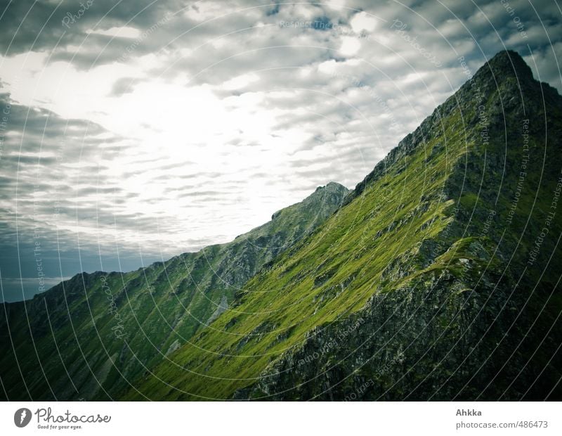 Lofoten XIV Sinnesorgane Ferien & Urlaub & Reisen Tourismus Ausflug Abenteuer Ferne Freiheit Berge u. Gebirge wandern Natur Landschaft Gipfel alt authentisch