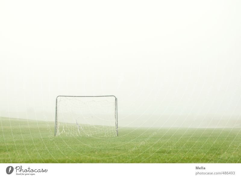 Anpfiff Sport Ballsport Tor Sportstätten Fußballplatz Umwelt Nebel Gras Wiese einfach hell Freizeit & Hobby Menschenleer Fußballtor Spielfeld Spielen Farbfoto