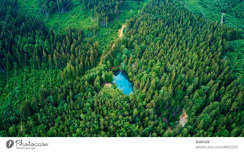 Luftaufnahme eines blau gefärbten Waldsees in Polen blauer See Antenne grün Teich farbenfroh Ansicht oben Top Wasser Herz wild Farbe Erholung Berge u. Gebirge