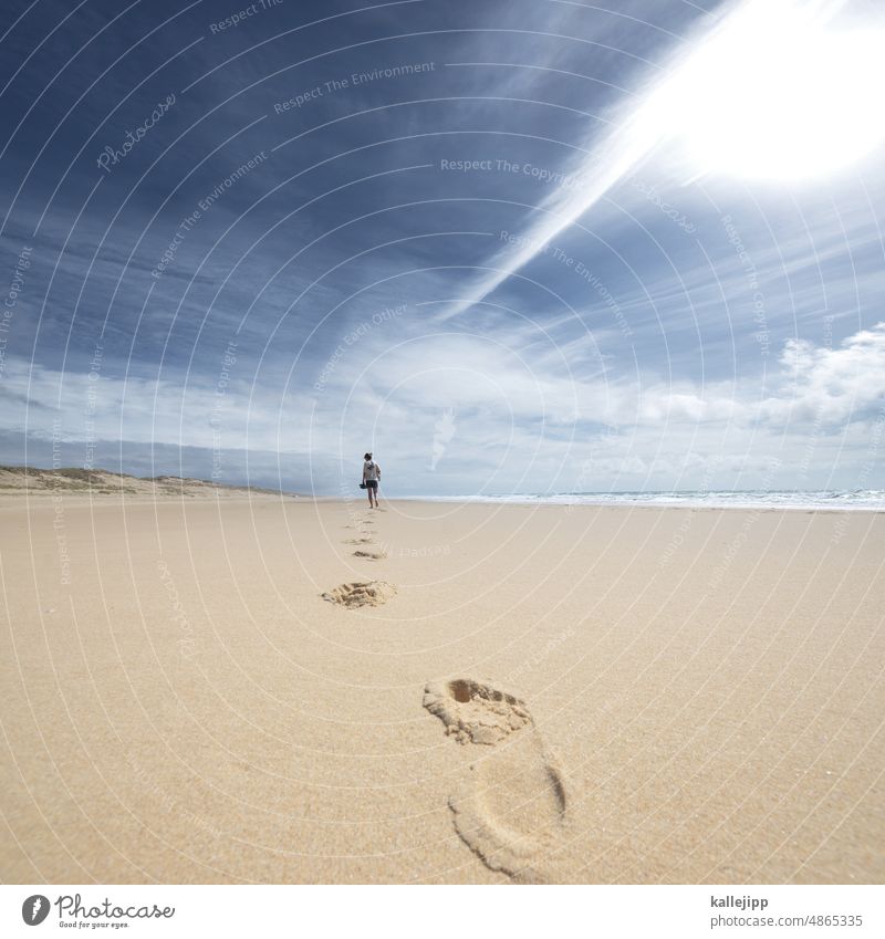 sand zwischen den zehen Strand Urlaub abkühlung Sommer Spaziergang Strandspaziergang Meer Ferien & Urlaub & Reisen Küste Sand Außenaufnahme Natur Farbfoto