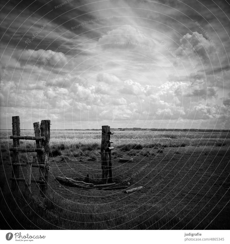 Weidefläche im Gebiet Skjern Enge Natur Wiese Weidezaun Landschaft Himmel Wolken Wolkenhimmel Gras Zaun Feld Umwelt Leiter Leitersprosse Zaunpfahl weite Sicht