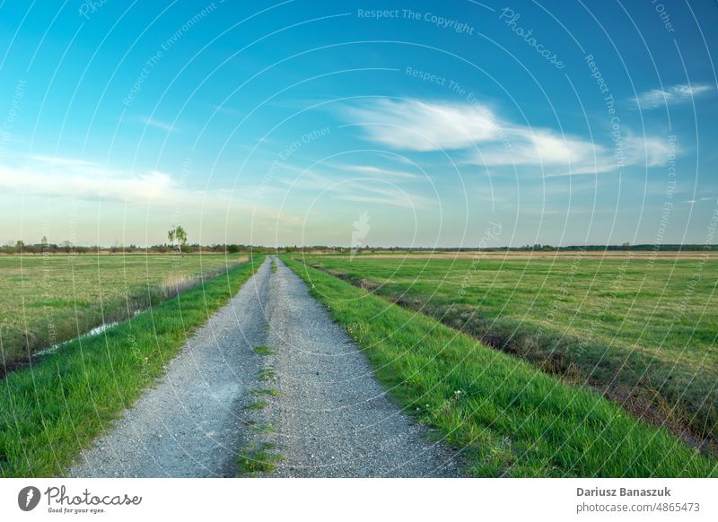 Eine leere und gerade Schotterstraße durch grüne Wiesen Straße Kies Natur Himmel Landschaft Horizont Weg Schmutz Gras reisen blau Sommer ländlich Cloud