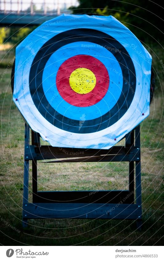 Der Slogan der Bogenschützen ist  immer : Alles ins Gold ( Mitte ) Bogenschießen-Ziel Sport Farbfoto Sport-Training sportlich Spielen Außenaufnahme