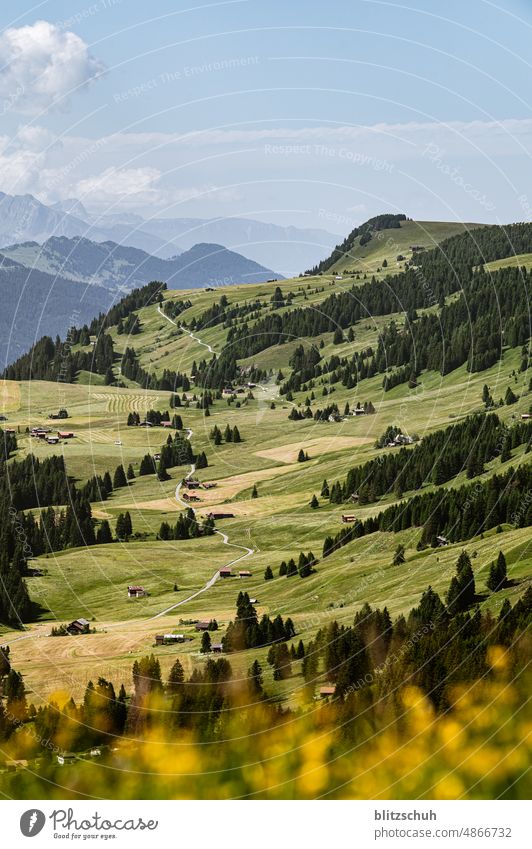 "Maiensäss" im Bergsommer schweiz Berge schweizerberge alpen maiensäss Berge u. Gebirge Alpen Schweiz wandern Natur Landschaft Wiese Sommer Alpsommer Suisse