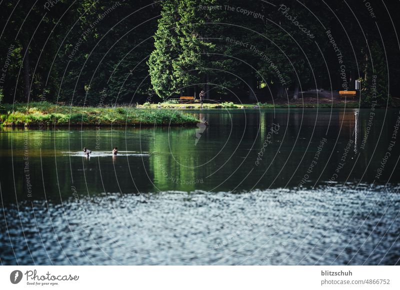 the fisherman see lake fischen wasser stimmung morgenstimmung Landschaft Natur Seeufer ruhig Umwelt Morgenstimmung Idylle fischer Fischerei einsa Einsamkeit