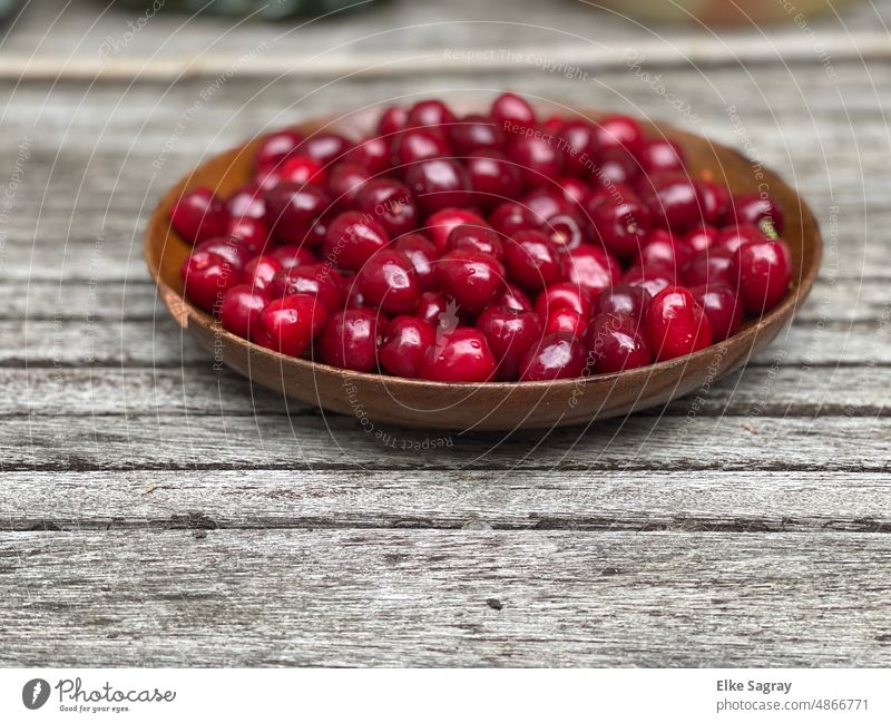 Reife Süßkirschen aus dem Garten auf dem Holzteller Frucht Sommer Lebensmittel Ernte frisch Kirsche Außenaufnahme reif Jahreszeiten Natur organisch