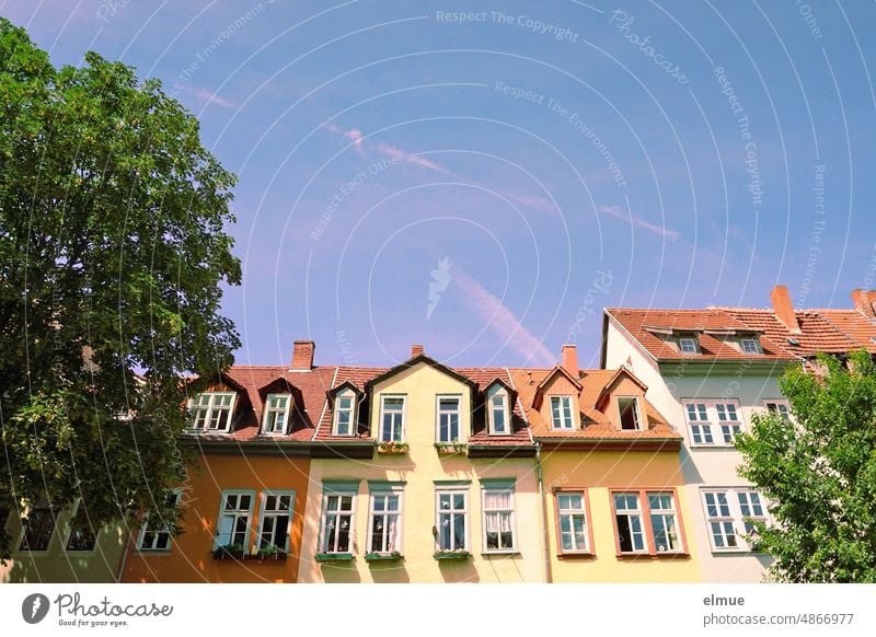 Häuser der Krämerbrücke in Erfurt Brücke Landeshauptstadt Thüringen wohnen Baum Sommer Wahrzeichen Stadtzentrum Stadtmitte Großstadt farbig Tourismus