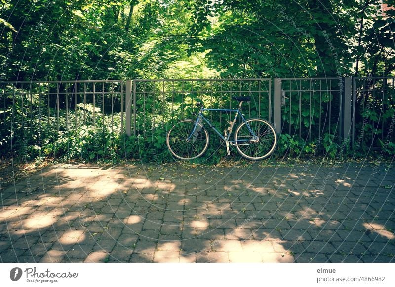 Herrenfahrrad im Schatten auf dem Fußweg, an einen Metallzaun gelehnt mit Bäumen und Sträuchern im Hintergrund / Radfahren / Umweltbewusstsein Fahrrad Herrenrad