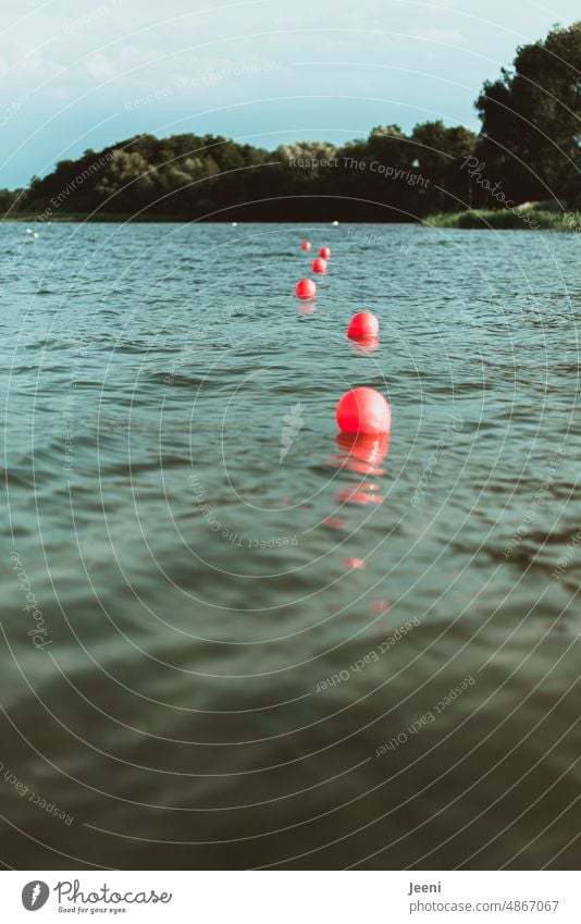 Abgrenzungsbojen in unruhigem Wasser nass Wasseroberfläche See Nichtschwimmerbereich Schwimmer nichtschwimmer Boje Bojen rund Wellen Wellengang