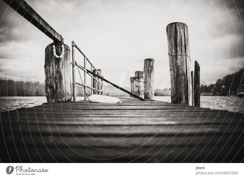 Holzsteg in schwarzweiß Fischerdorf Steg Ostsee See Hafen Wasser Küste Seeufer Flussufer Ufer Geländer Boje Bucht Insel Anlegestelle Anlegesteg Schilf