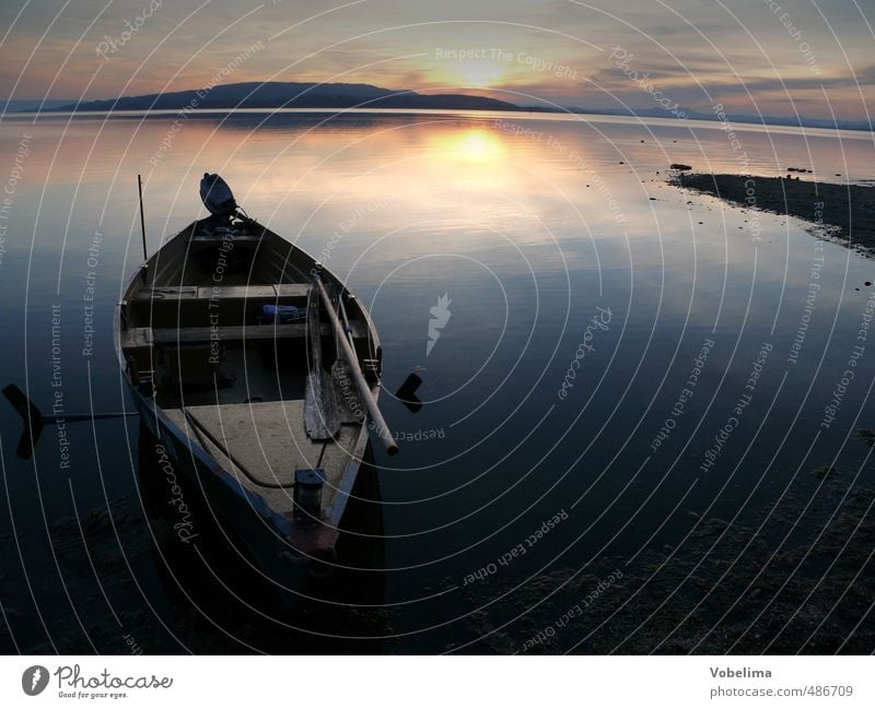 Boot am Ufer der Reichenau Freiheit Insel See Fischerboot Ruderboot Wasserfahrzeug Natur reichenau Bodensee Abendsonne Abenddämmerung himmel Baden-Württemberg