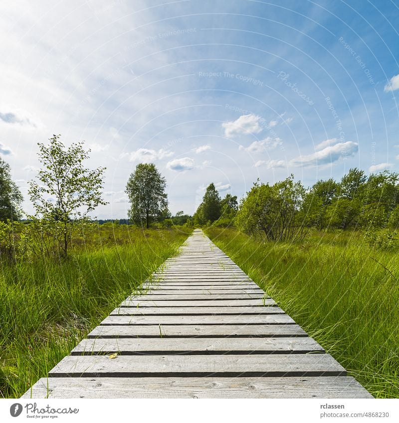 Uferpromenade mit Bäumen in Moorlandschaft mit Wolkenhimmel weg Belgien benelux blau Promenade Brücke Naturschutzgebiet bedeckt Eifel Europa Fläche weitblickend