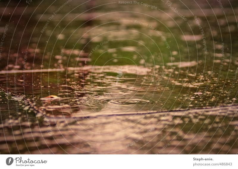 Regen Wasser Wassertropfen schlechtes Wetter berühren authentisch Flüssigkeit frisch glänzend nass natürlich grün violett rosa einzigartig Farbe Natur ruhig