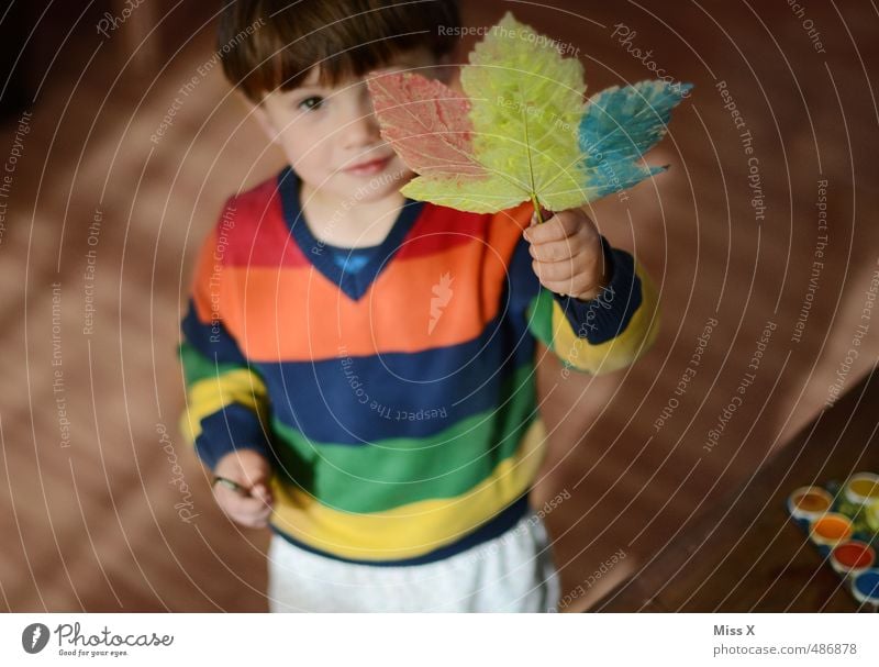 Bemalt Freizeit & Hobby Spielen Basteln Kinderspiel Mensch Kleinkind Kindheit 1 1-3 Jahre 3-8 Jahre Herbst Blatt niedlich Farbe Kreativität malen Pinsel bemalt