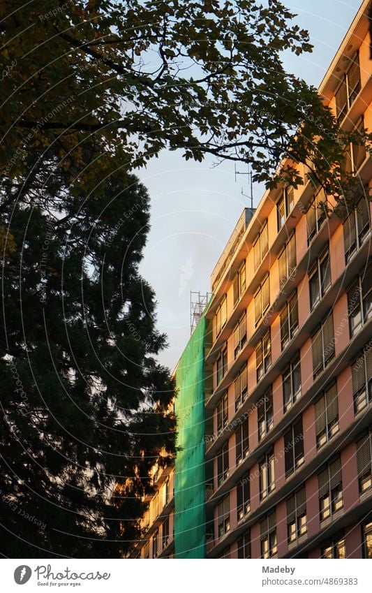 Das Sankt Katharinen Krankenhaus mit altem Baum im Licht der Abendsonne im Stadtteil Bornheim an der Seckbacher Landstraße in Frankfurt am Main in Hessen