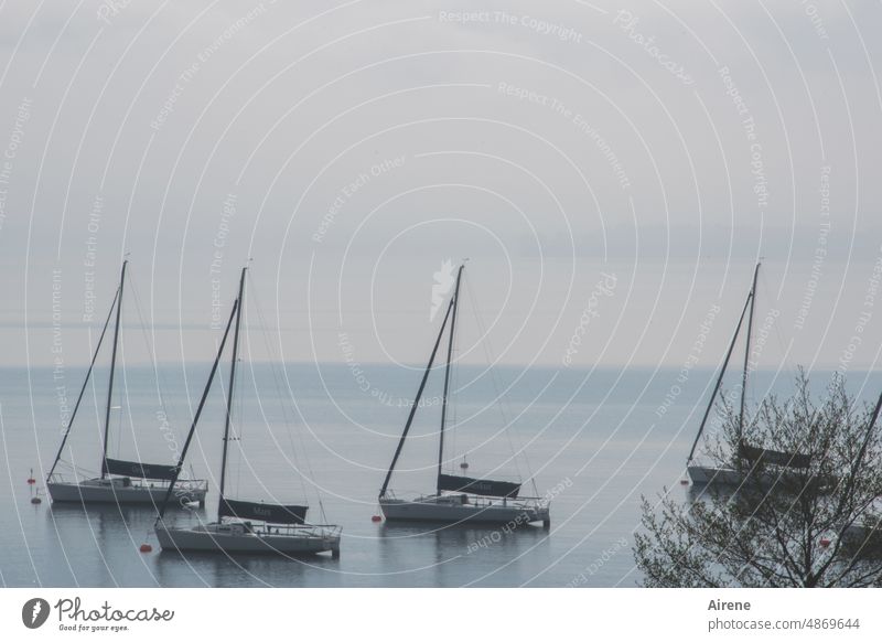 Wartebereich See Segeln Boot ruhig menschenleer Ufer blau trist Segelboot Seeufer Winterschlaf standby Schifffahrt Wasserfahrzeug warten Ruhestand Ruhezustand