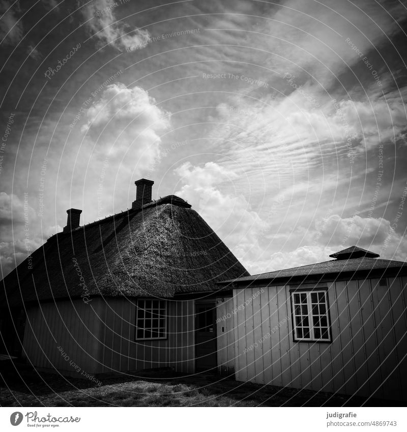 Reetdachhaus Haus Holzhaus Himmel Wolken wohnen Schornstein Fenster Dänemark Jütland Dach Schwarzweißfoto Quadrat Gebäude