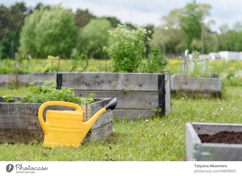 Hölzerne Hochbeete im gemeinschaftlichen Garten Gartenarbeit kommunal Gemeinschaft Pflanze Großstadt urban grün Bett Gießkanne angehoben Gemüse Natur