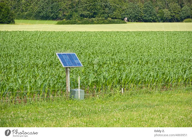 Elektrozaun der mit Solar betrieben wird. Der Weidezaun schützt Maisfeld vor Wildtieren wie Wildschweine, die den Mais auffressen. schutz Tiere Zaun Wiese