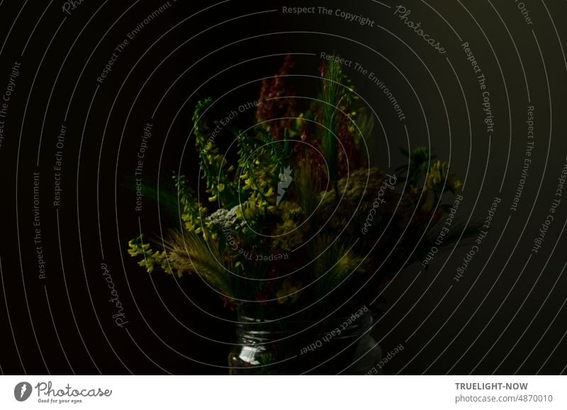 Im Morgengrauen / Mit einem Wildblumen Strauß / Den Tag erwarten Blumenstrauß Low Key Dämmerung Morgendämmerung Frühlicht Dunkelheit dunkel Gräser Glas