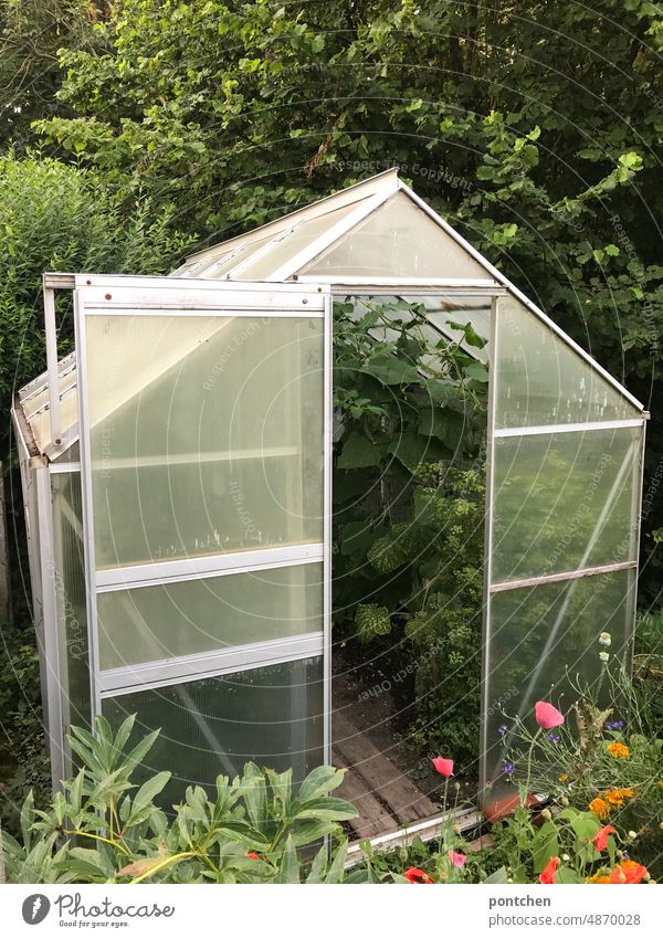 Ein Gewächshaus voller Pflanzen im Grünen anpflanzen Gärnter gartenarbeit Anbau gemüse autark selbstversorger blumen grün