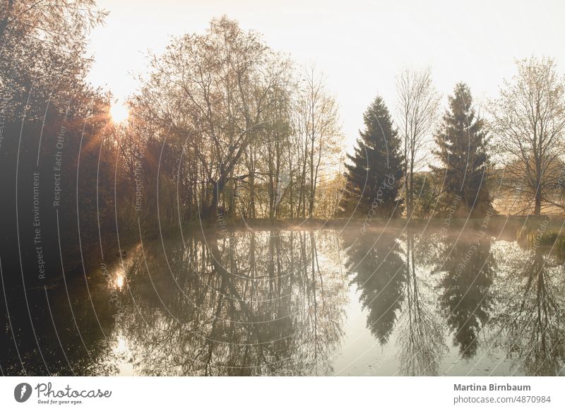 Sonnenaufgang über einem Weiher in Bayern mit aufsteigendem Nebel Herbst Windstille Farbe farbenfroh Landschaft Morgendämmerung Tageslicht Abenddämmerung früh