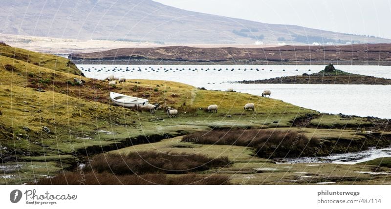 Land in Sicht Natur Landschaft Herbst Klimawandel Wetter Wind Gras Sträucher Wiese Feld Hügel Seeufer Meer Insel Moor Sumpf Republik Irland Fischerdorf