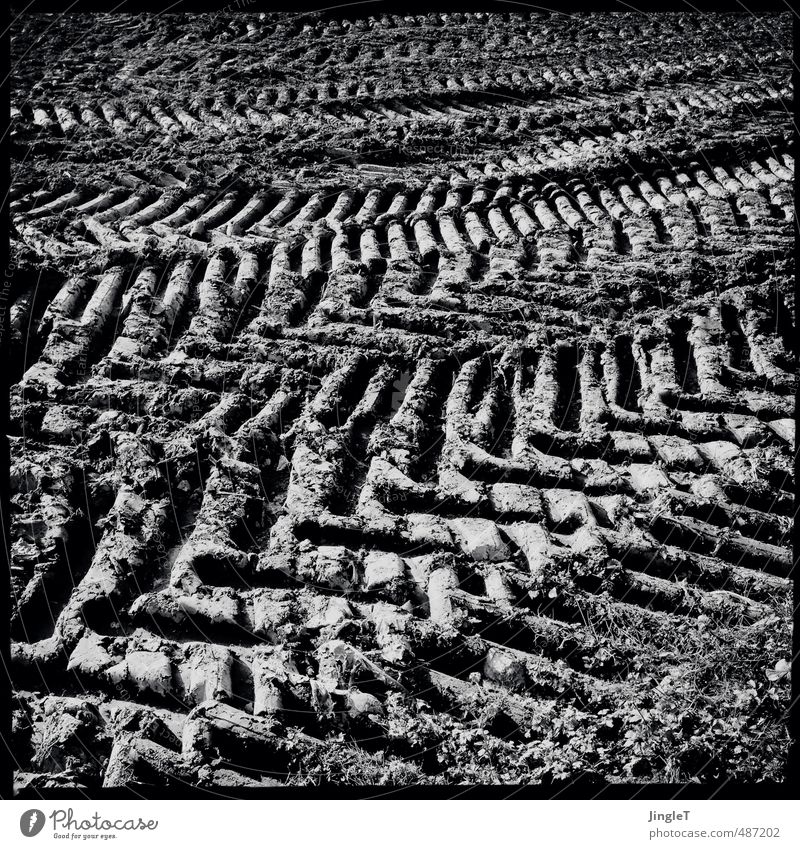 Profilneurose Umwelt Natur Landschaft Pflanze Erde Herbst Feld Arbeit & Erwerbstätigkeit dreckig trocken schwarz weiß Kraft Leistung Schwarzweißfoto