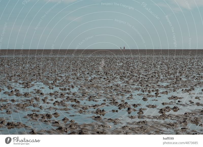 drei Menschen bei Ebbe im Wattenmeer mit vielen Wattwurmhaufen Sommer Insel ebbe und flut Schlick Wattwandern Küste Meer Nordseeküste gehen Schlamm